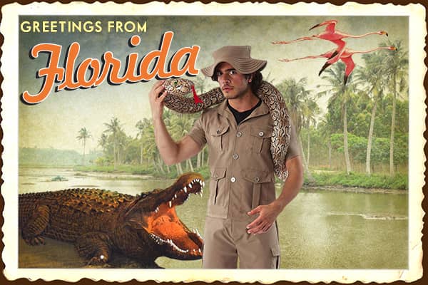 Florida 7