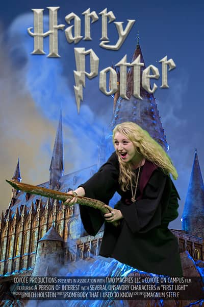 Harry Potter Movie Poster2