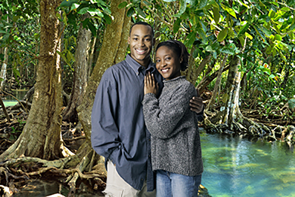 Everglades 05