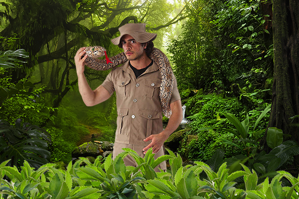 Jungle 1