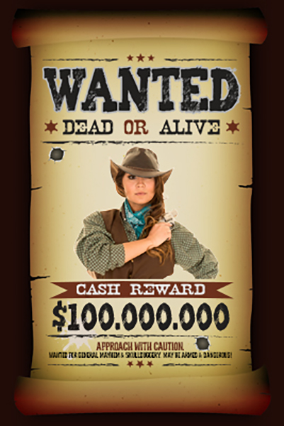 Wild West 02