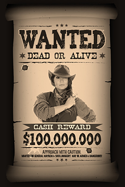 Wild West 03